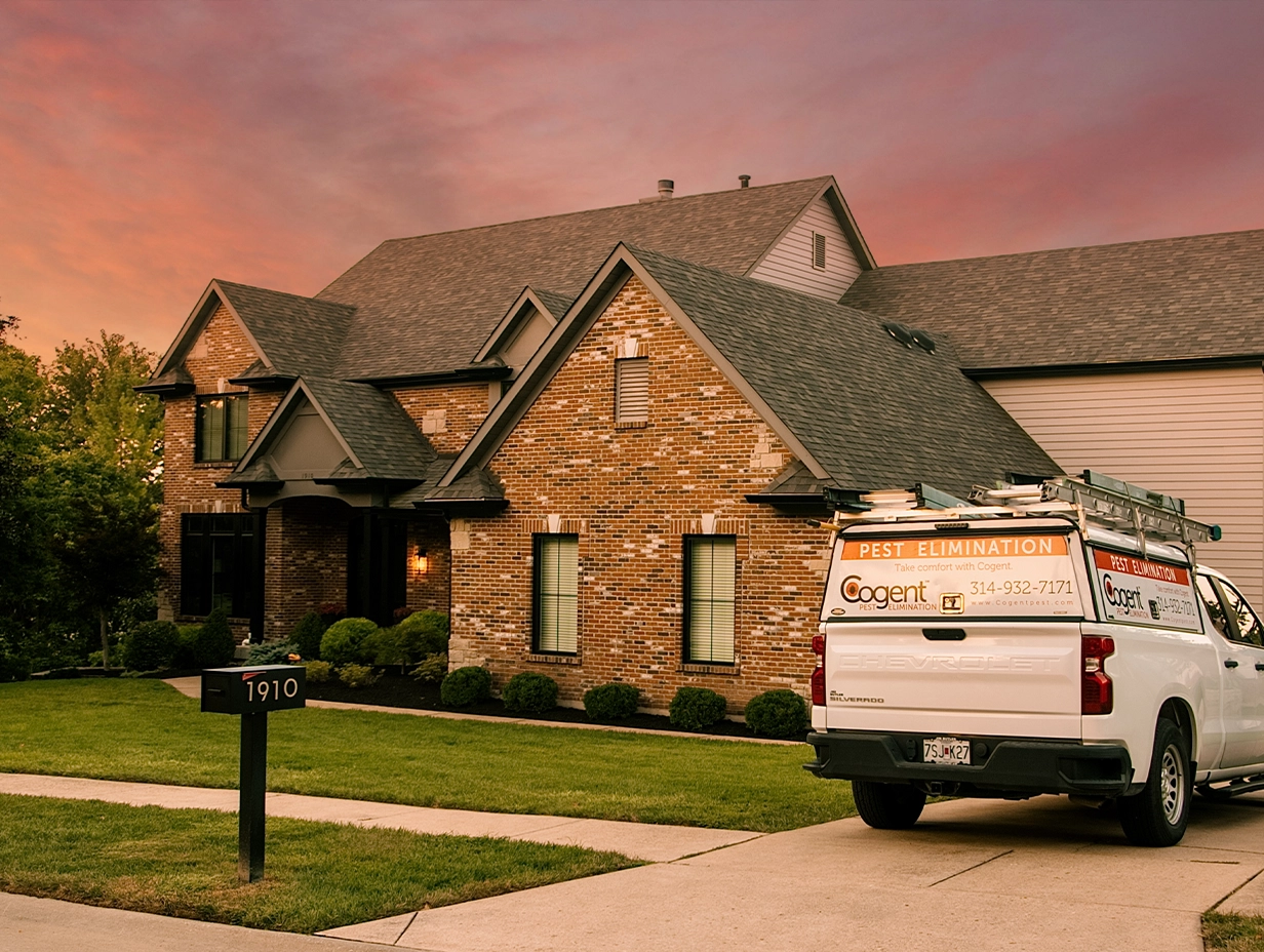 Cogent-Pest-Elimination-Services-Residential-2